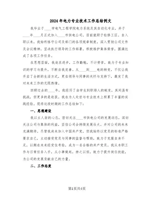 2024年电力专业技术工作总结例文（二篇）