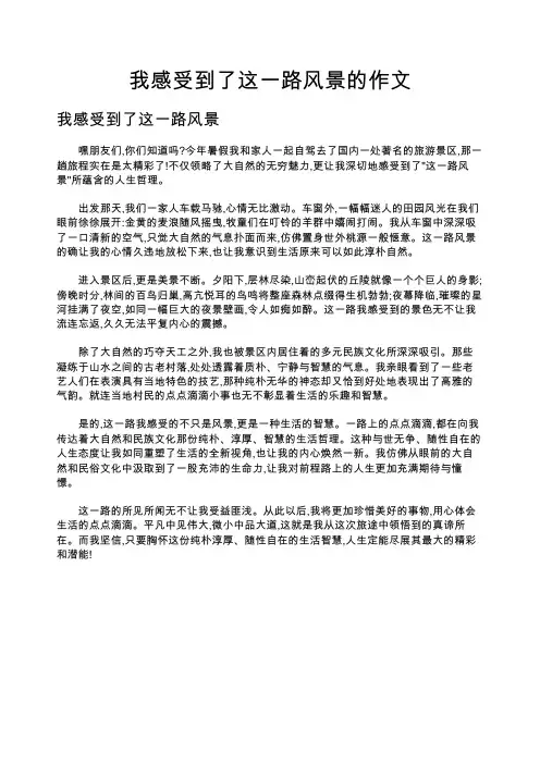 我感受到了这一路风景的作文