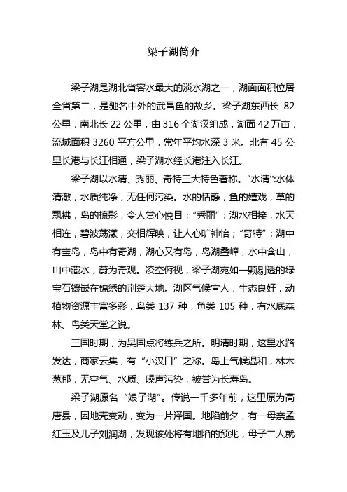 梁子湖简介