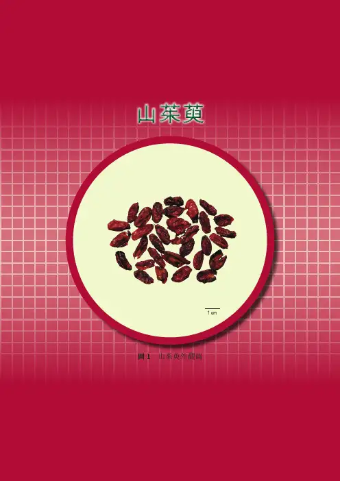 山茱萸