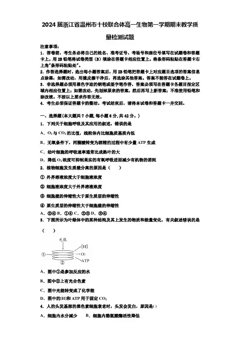 2024届浙江省温州市十校联合体高一生物第一学期期末教学质量检测试题含解析