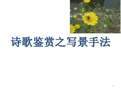 诗歌鉴赏之写景手法PPT课件