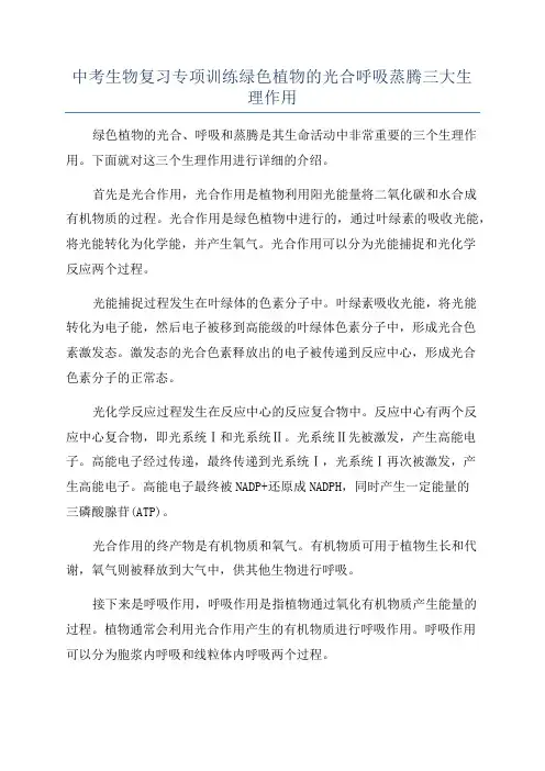 中考生物复习专项训练绿色植物的光合呼吸蒸腾三大生理作用