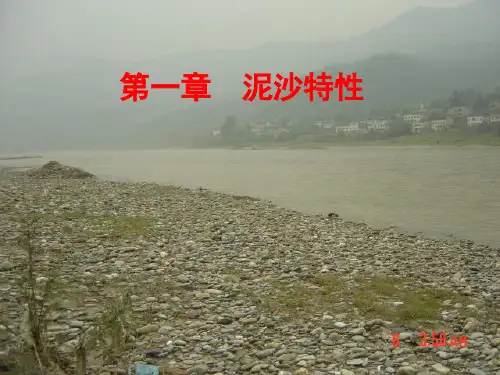 第一章 泥沙特性2008