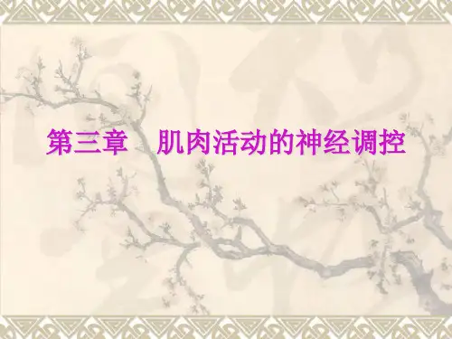 运动生理学教案 第三章 肌肉活动的神经调控 3学时