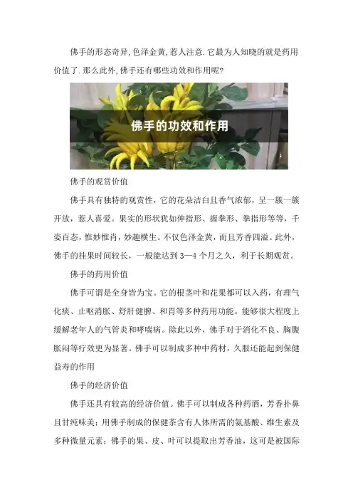 佛手的功效和作用