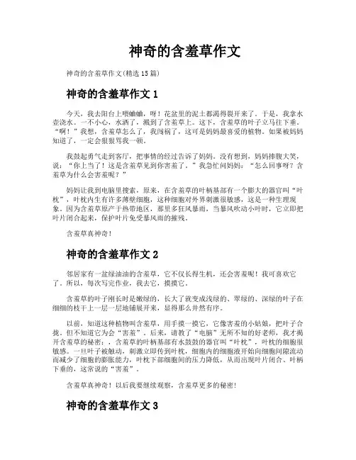 神奇的含羞草作文