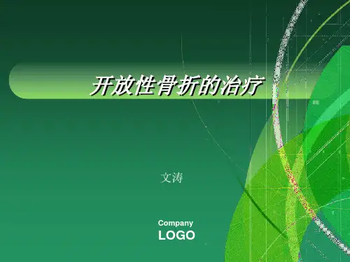 开放性骨折的治疗PPT