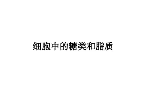 细胞中的糖类和脂质示范课公开课一等奖课件省赛课获奖课件