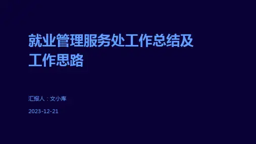 就业管理服务处工作总结及工作思路