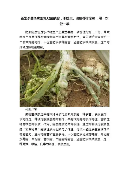 新型杀菌杀虫剂氟吡菌酰胺，杀线虫、治病都非常棒，用一次管一季