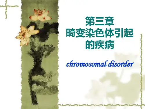 三体综合征