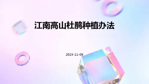 江南高山杜鹃种植办法