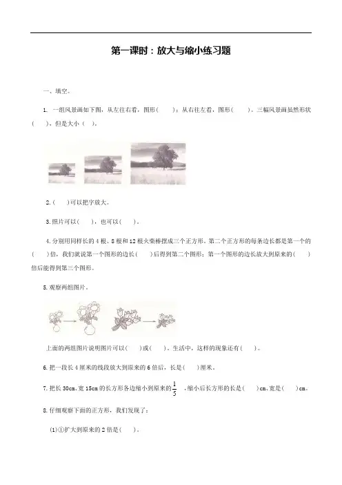 六年级数学上册第六单元第1课时  放大与缩小(练习)冀教版(2014秋)