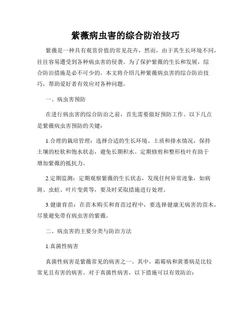 紫薇病虫害的综合防治技巧