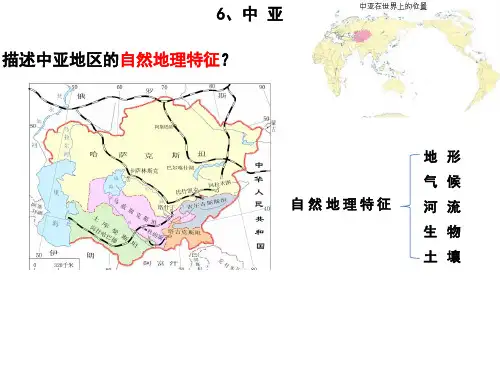 中亚