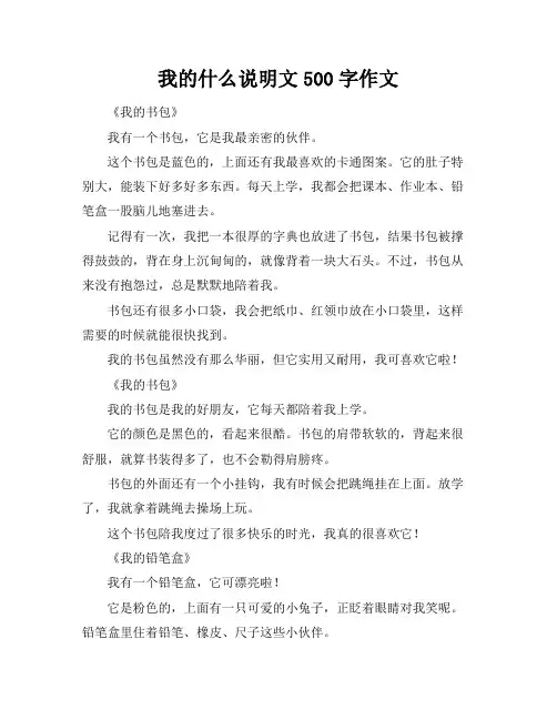 我的什么说明文500字作文