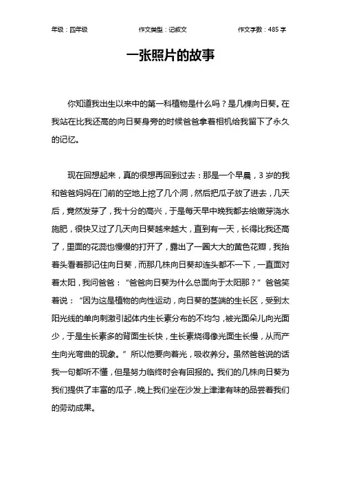 一张照片的故事作文【小学四年级500字】