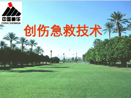 创伤急救止血包扎固定搬运1