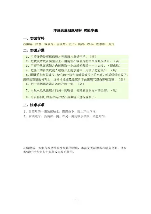 洋葱表皮细胞观察-实验步骤