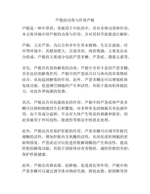 芦根的功效与作用芦根