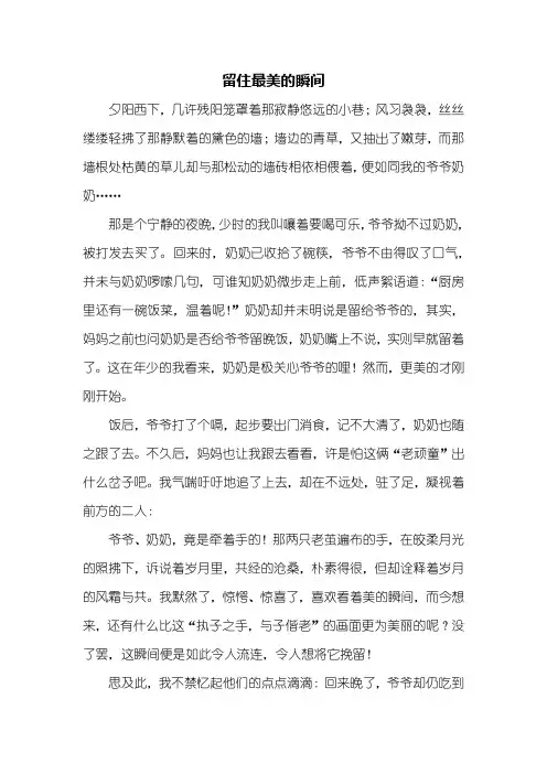 初三作文：留住最美的瞬间作文800字