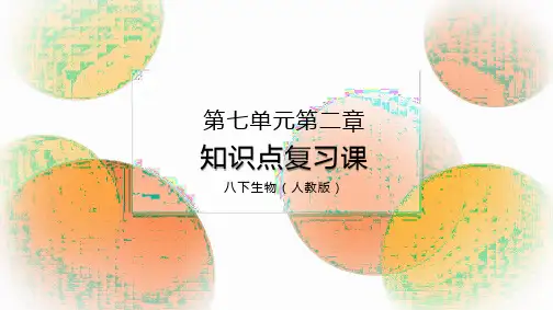 第二章生物的遗传和变异复习课课件人教版生物八年级下册