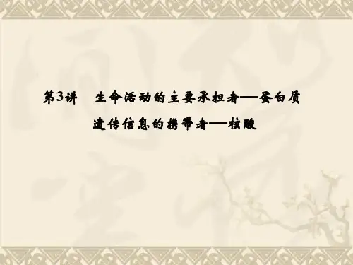 高考生物一轮复习 第一单元 第3讲  生命活动的主要承担者课件 新人教版必修1