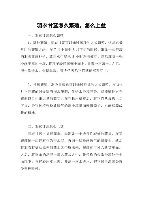 羽衣甘蓝怎么繁殖,怎么上盆