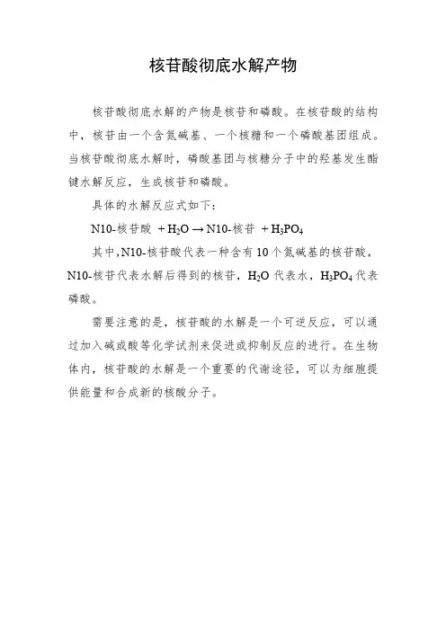 核苷酸彻底水解产物