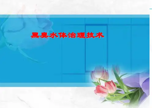 黑臭水体治理技术