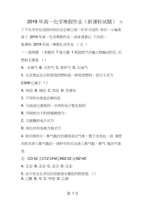 高一化学寒假作业(新课标试题)