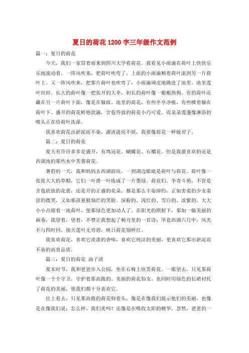 夏日的荷花1200字三年级作文范例