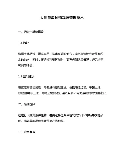 大棚黄瓜种植栽培管理技术