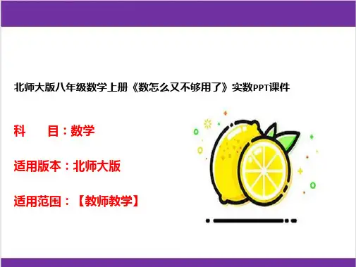 北师大版八年级数学上册《数怎么又不够用了》实数PPT课件