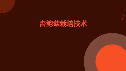 杏鲍菇栽培技术