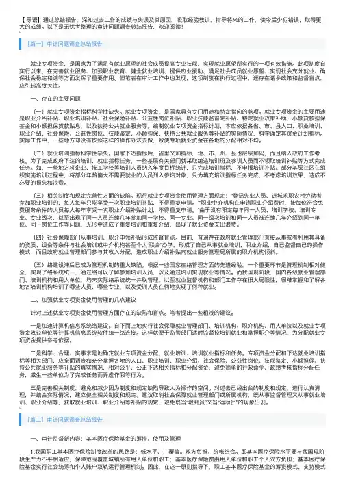 审计问题调查总结报告