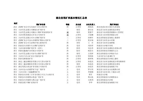 湖北省尾矿库基本情况汇总表