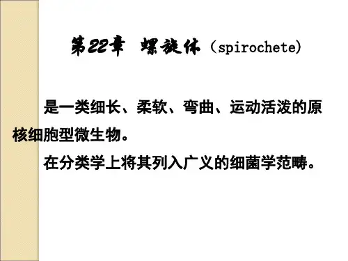第22章 螺旋体