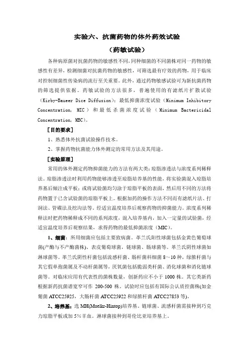 实验六、抗菌药物的体外药效试验