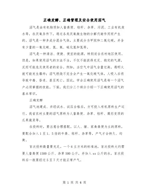 正确发酵、正确管理及安全使用沼气（二篇）
