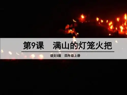 9 满山的灯笼火把