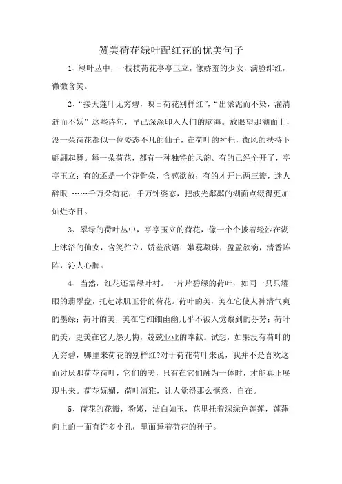 赞美荷花绿叶配红花的优美句子