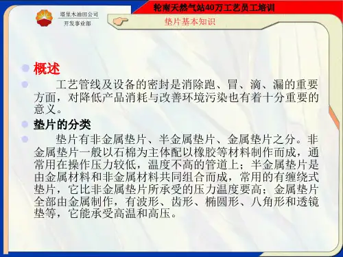金属缠绕垫(10.02)