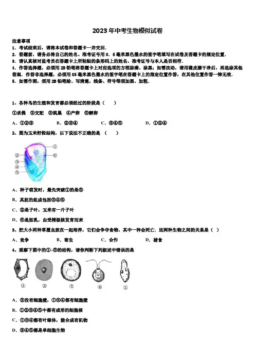 山东省临沂市河东区2022-2023学年中考适应性考试生物试题含解析