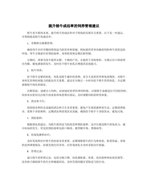 提升犊牛成活率的饲养管理建议