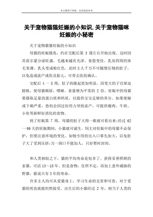 关于宠物猫猫妊娠的小知识,关于宠物猫咪妊娠的小秘密