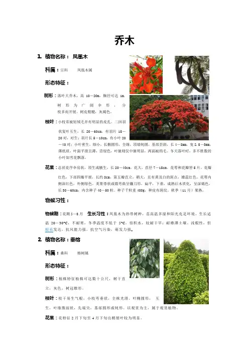 植物配置课程-乔木30种