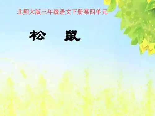 小学三年级下学期语文《松鼠》PPT课件PPT、优质教学课件