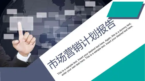 投资理财营销策划方案ppt